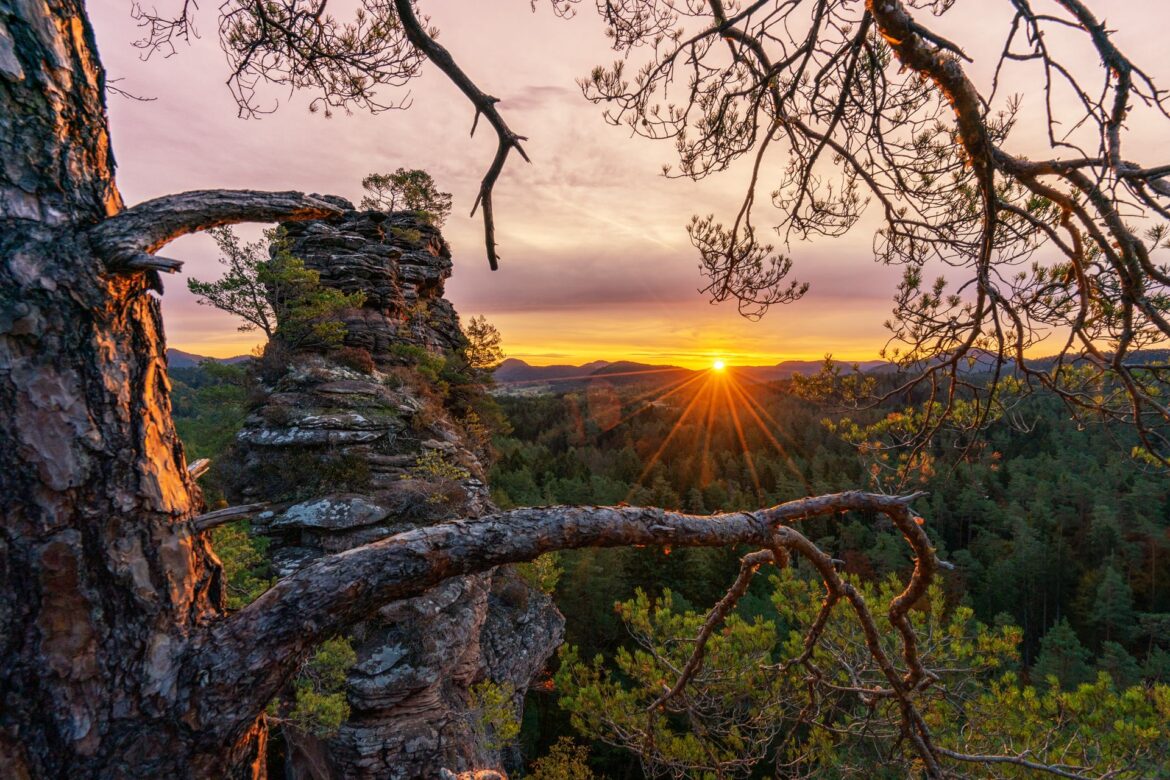 Familienurlaub in der Pfalz: Wenn Natur, Struktur und Entlastung zusammenfinden